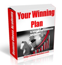 you winning plan